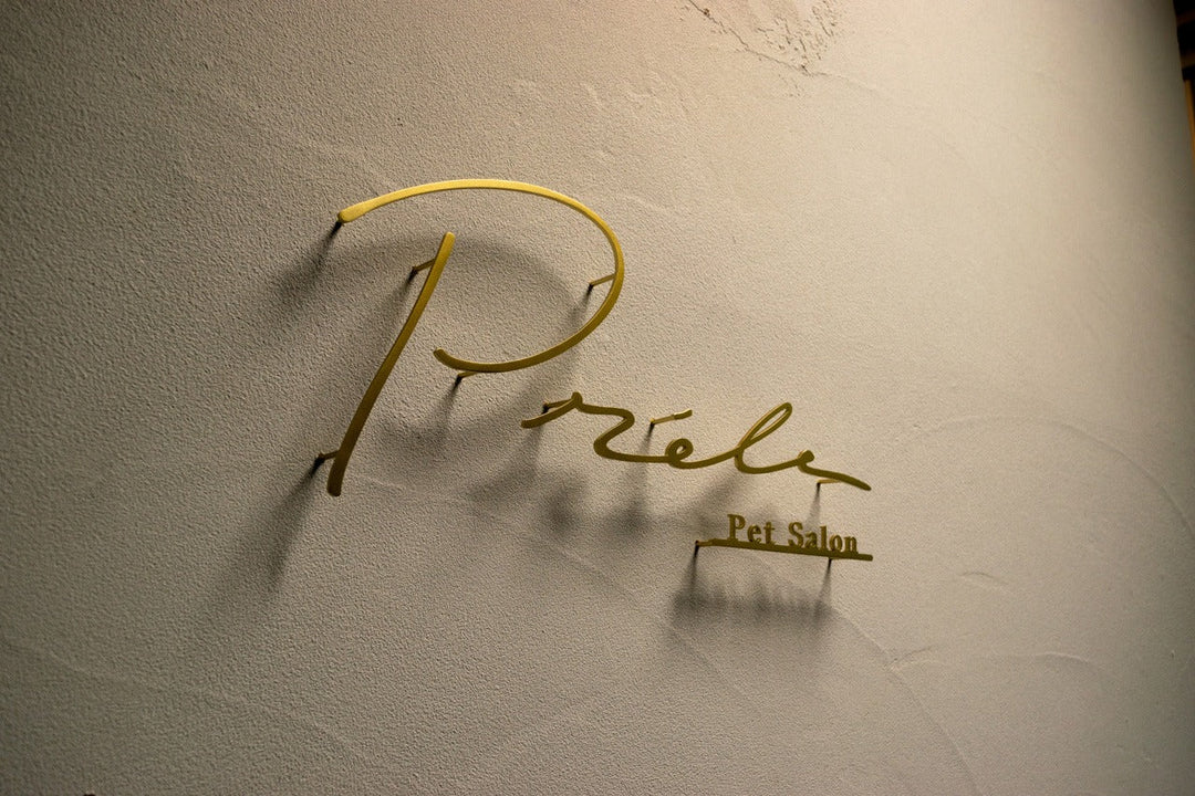 ロゴ看板制作ならお任せ！ステンレス切り文字で叶える世界にひとつの看板