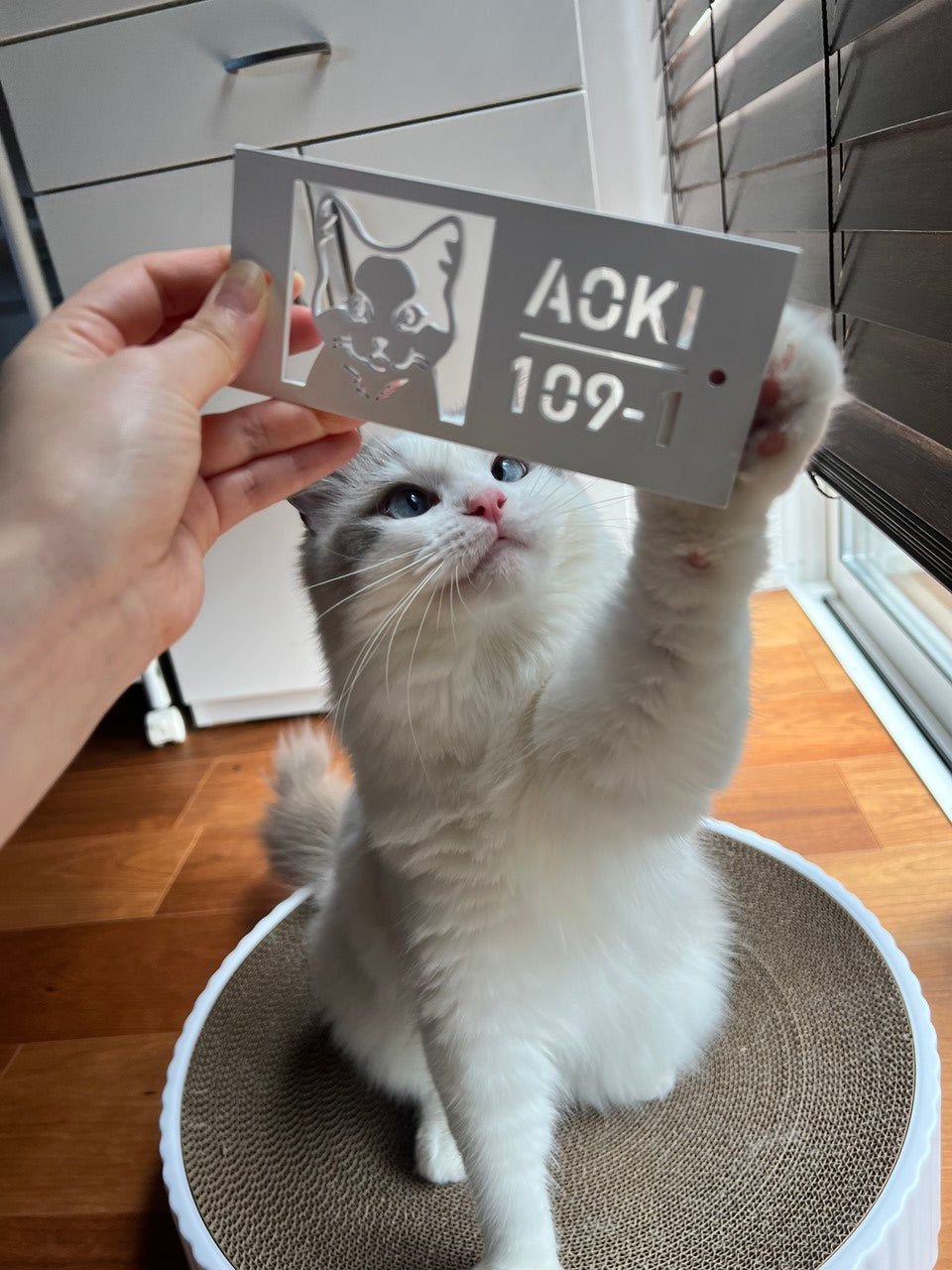 愛猫の写真で作る猫の表札【Nekoko 02】オーダーメイド ステンレス製