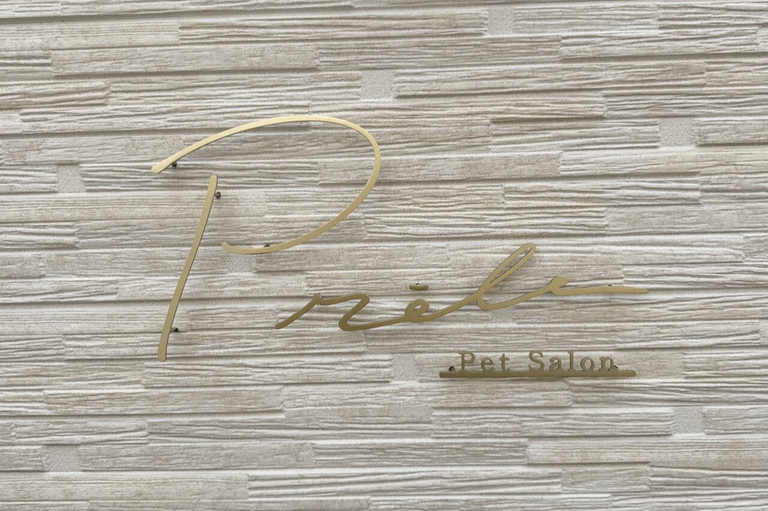 ショップロゴを基にしたステンレス製の切り文字看板を制作します